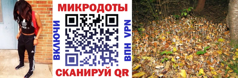 Купить закладки  Руза  Псилоцибиновые грибы GOLDEN TEACHER 